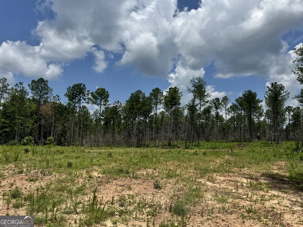 319 +/- AC Hwy 100 Franklin, GA 30217