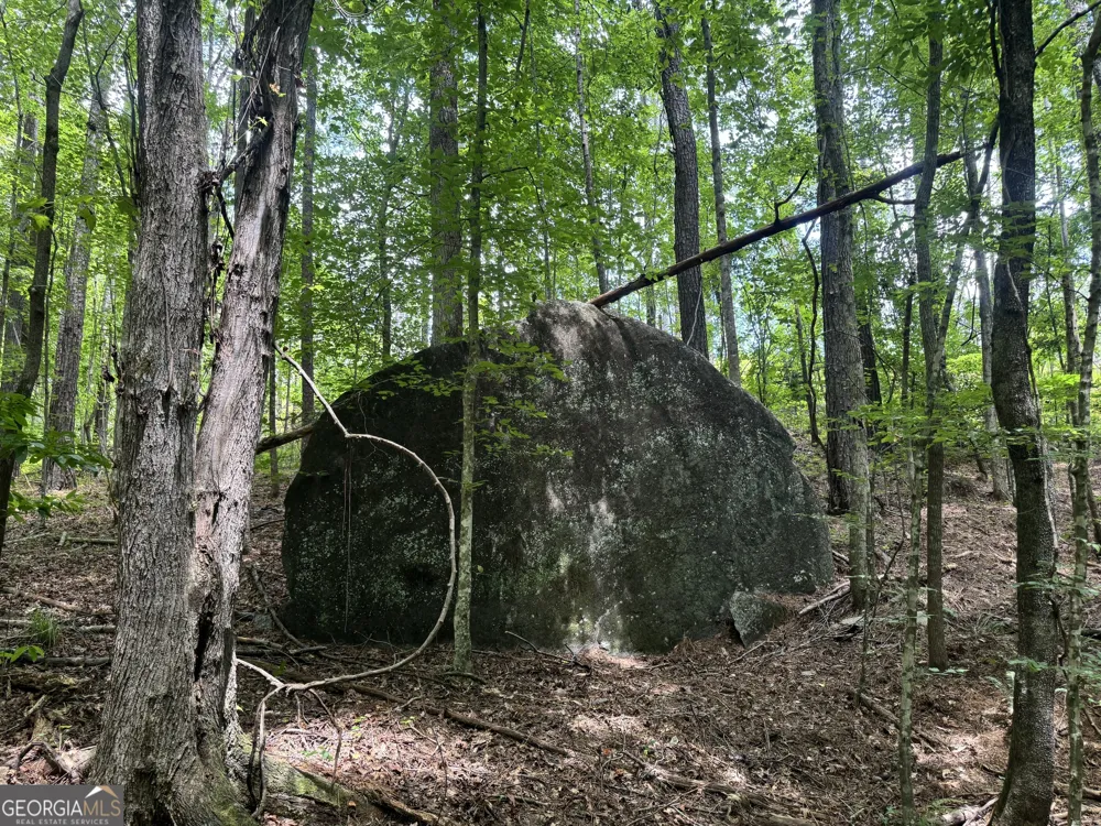 319 +/- AC Hwy 100 Franklin, GA 30217