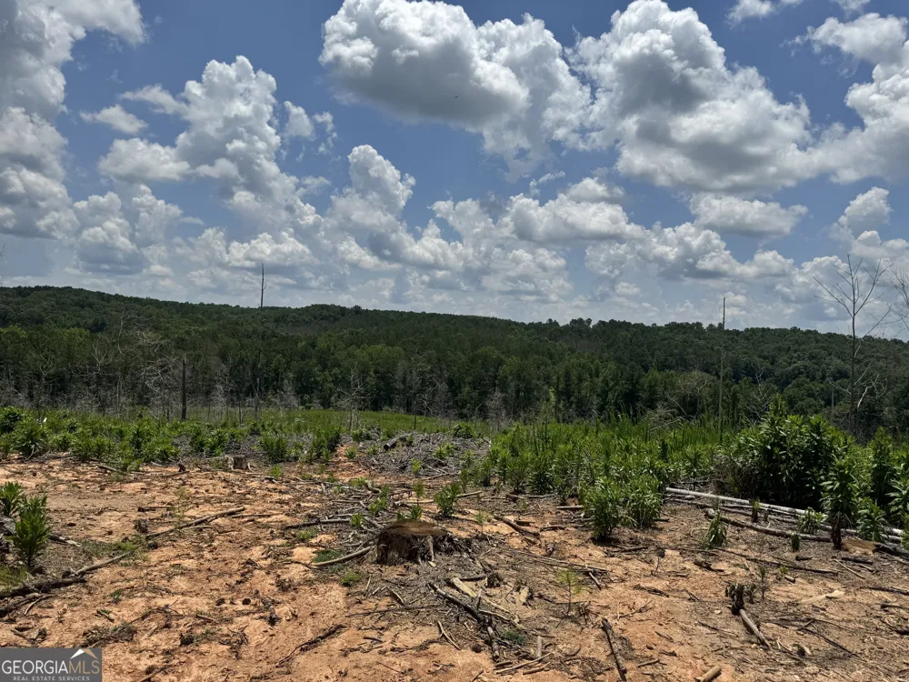 319 +/- AC Hwy 100 Franklin, GA 30217