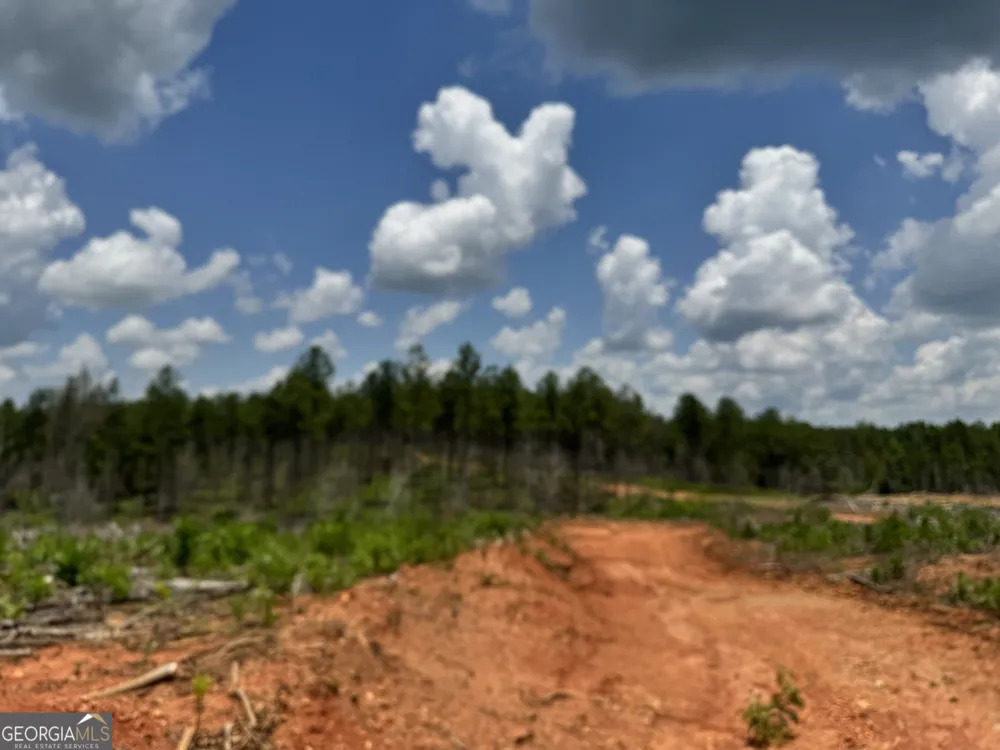 319 +/- AC Hwy 100 Franklin, GA 30217