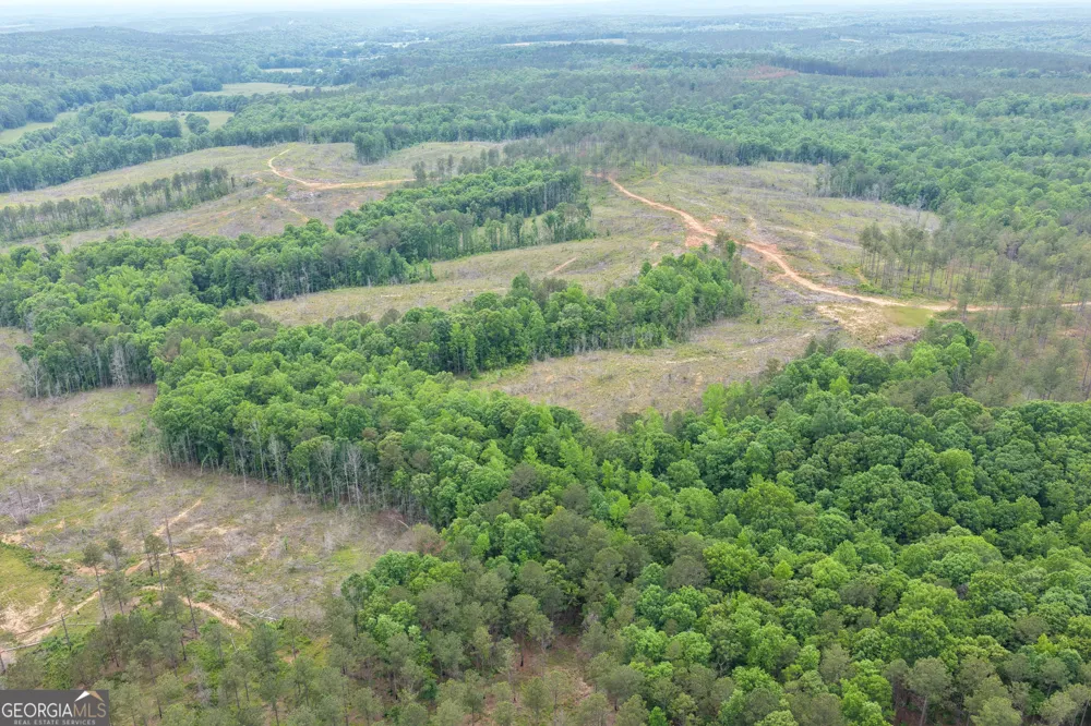 319 +/- AC Hwy 100 Franklin, GA 30217