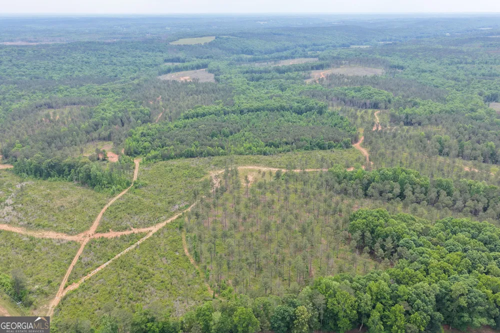319 +/- AC Hwy 100 Franklin, GA 30217