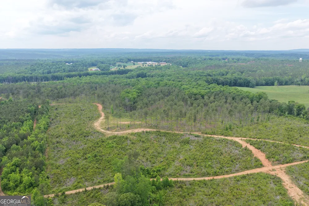 319 +/- AC Hwy 100 Franklin, GA 30217