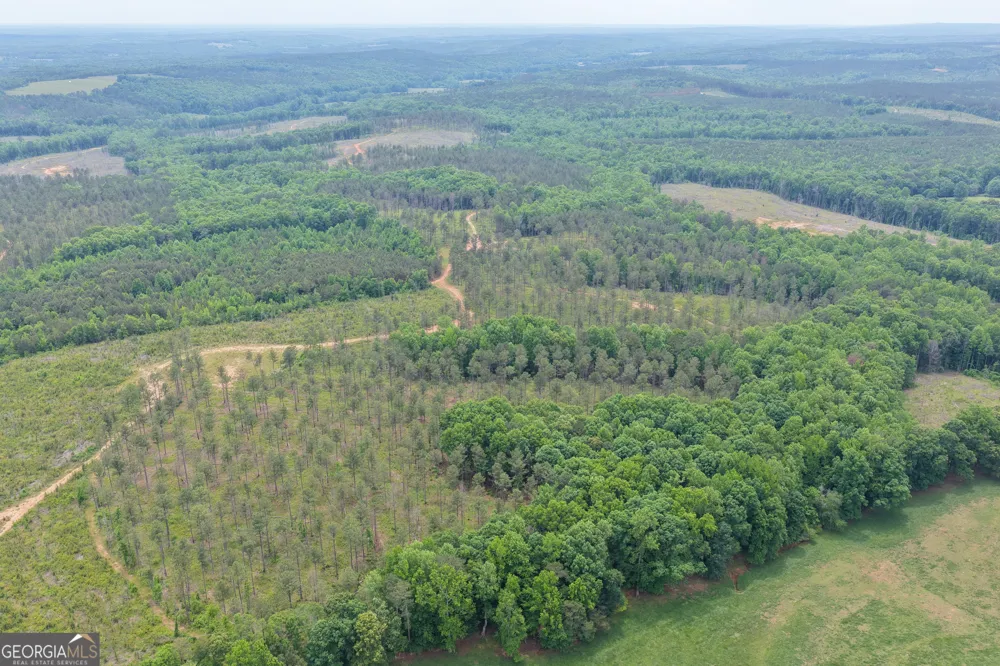 319 +/- AC Hwy 100 Franklin, GA 30217