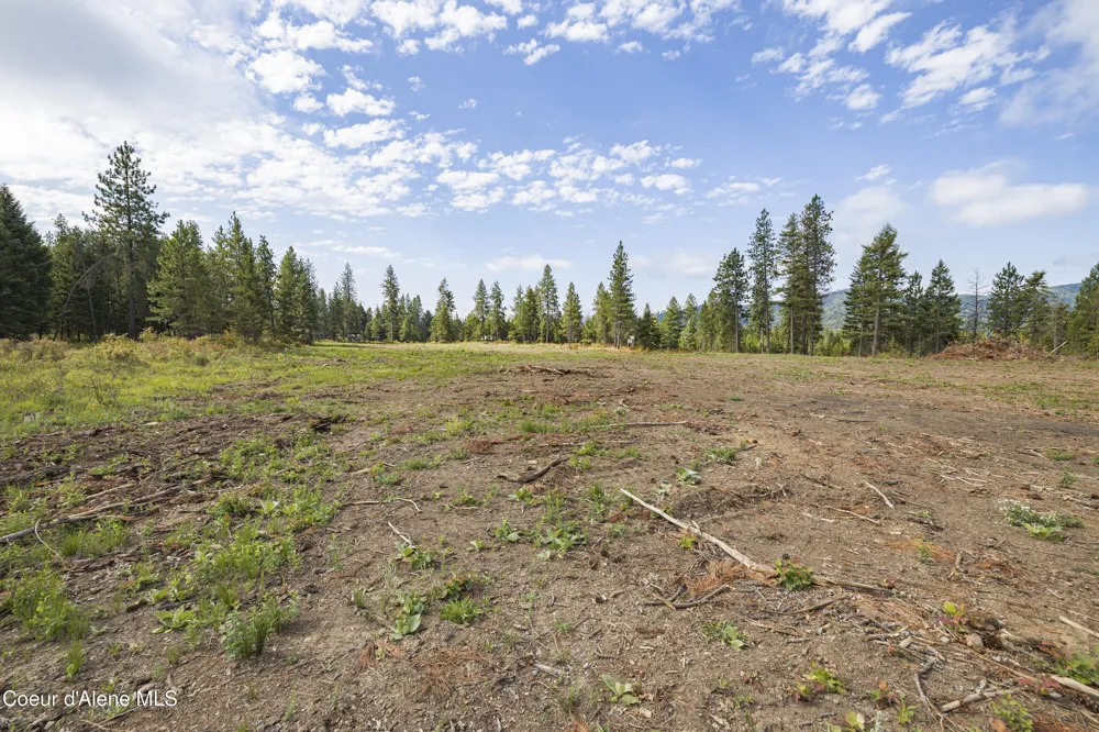 NKA Old Forest Rd- Lot 2 Spirit Lake, ID 83869