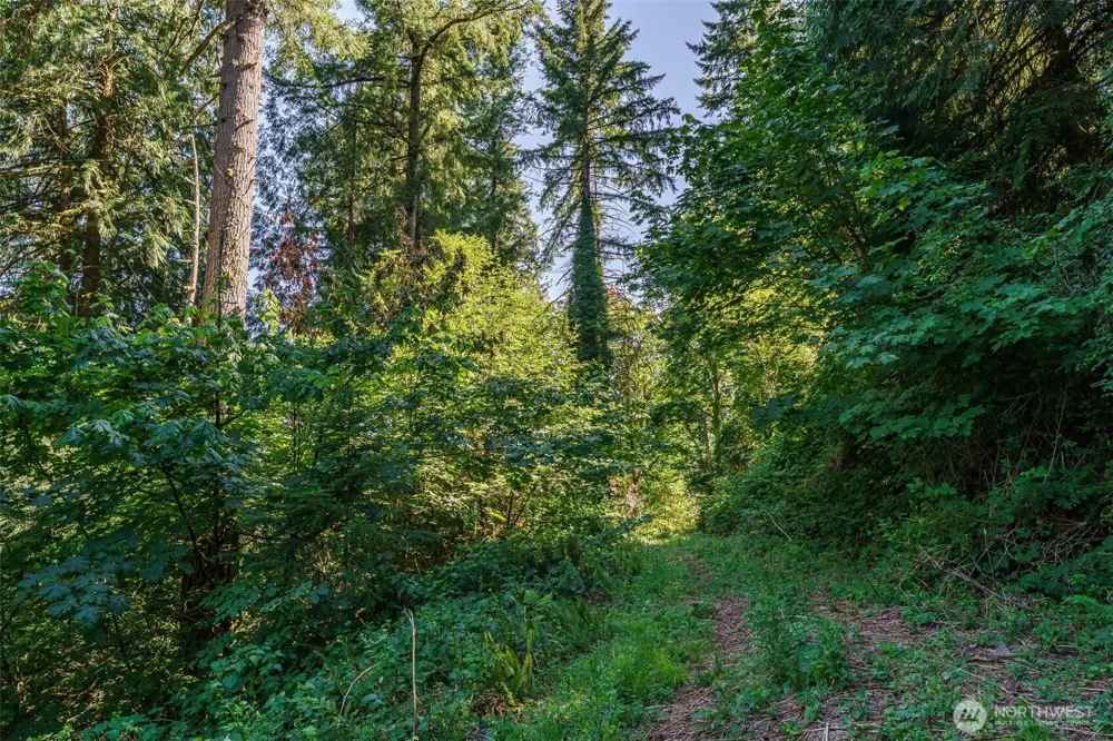 0 NE Johnson Rd (Parcel# 222320000) La Center, WA 98629