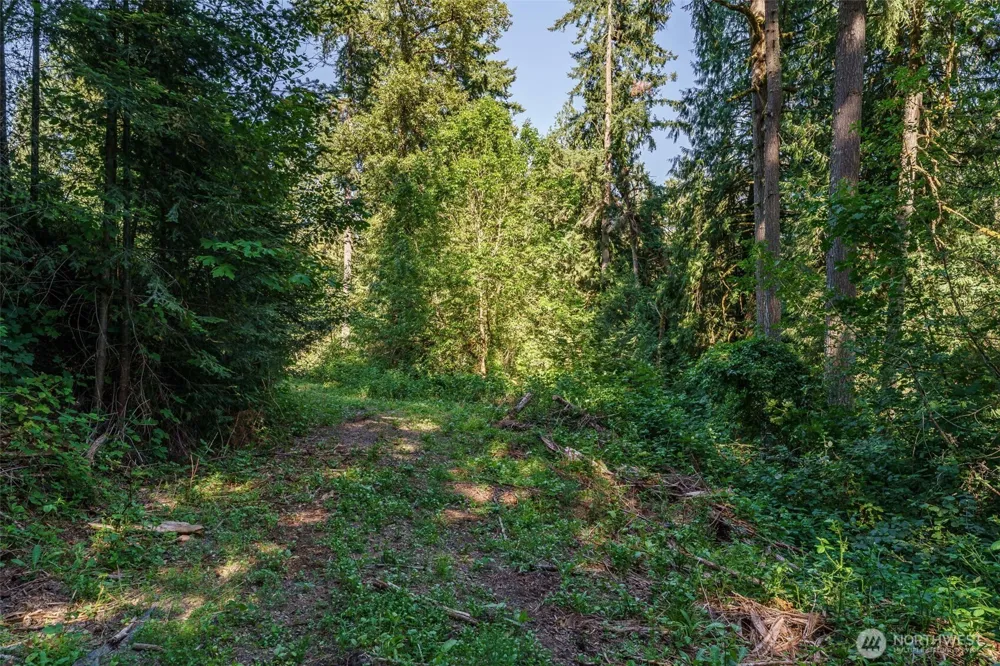 0 NE Johnson Rd (Parcel# 222320000) La Center, WA 98629