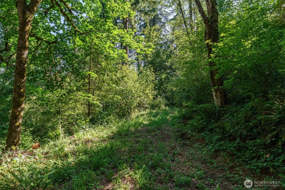 0 NE Johnson Rd (Parcel# 222320000) La Center, WA 98629