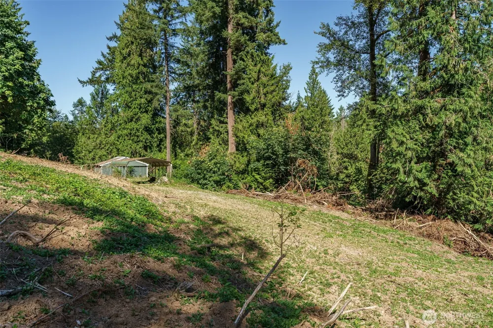 0 NE Johnson Rd (Parcel# 222320000) La Center, WA 98629