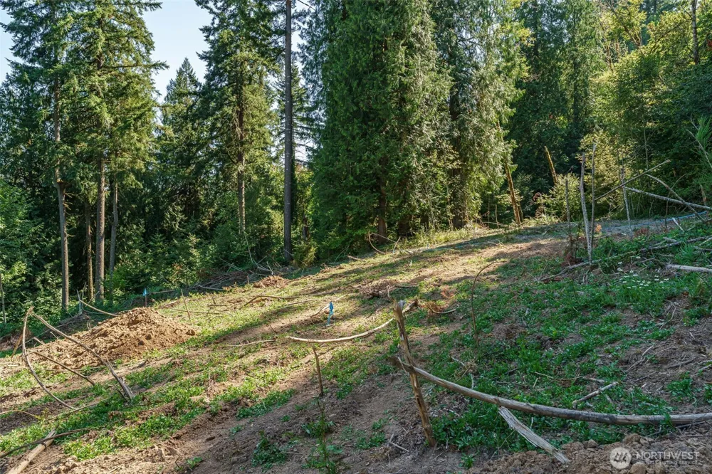 0 NE Johnson Rd (Parcel# 222320000) La Center, WA 98629