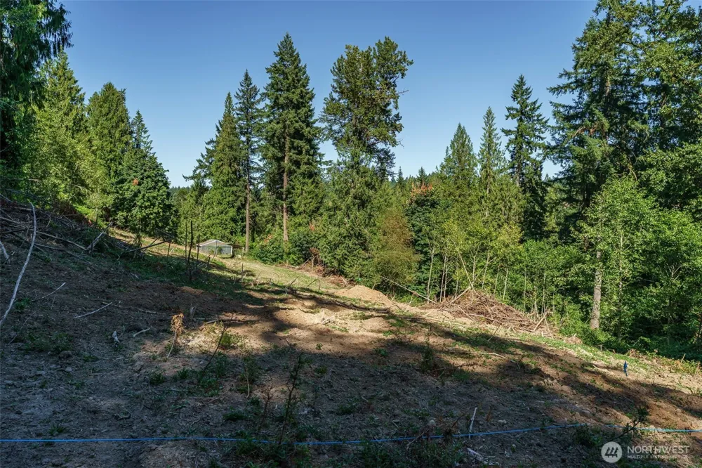 0 NE Johnson Rd (Parcel# 222320000) La Center, WA 98629