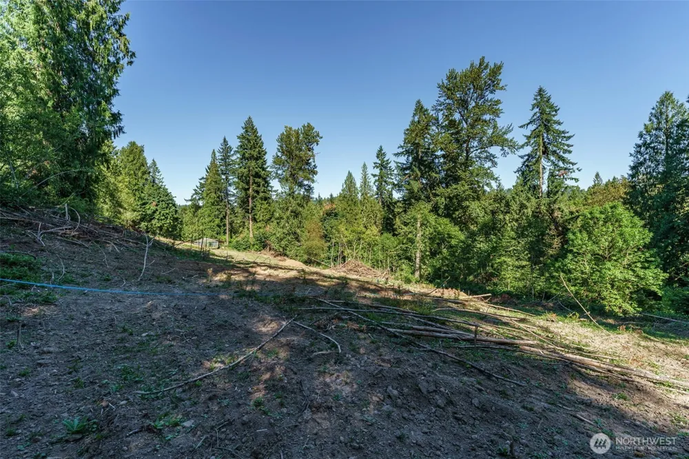 0 NE Johnson Rd (Parcel# 222320000) La Center, WA 98629