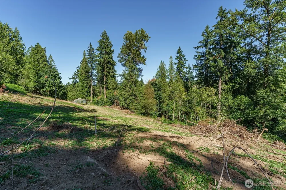 0 NE Johnson Rd (Parcel# 222320000) La Center, WA 98629