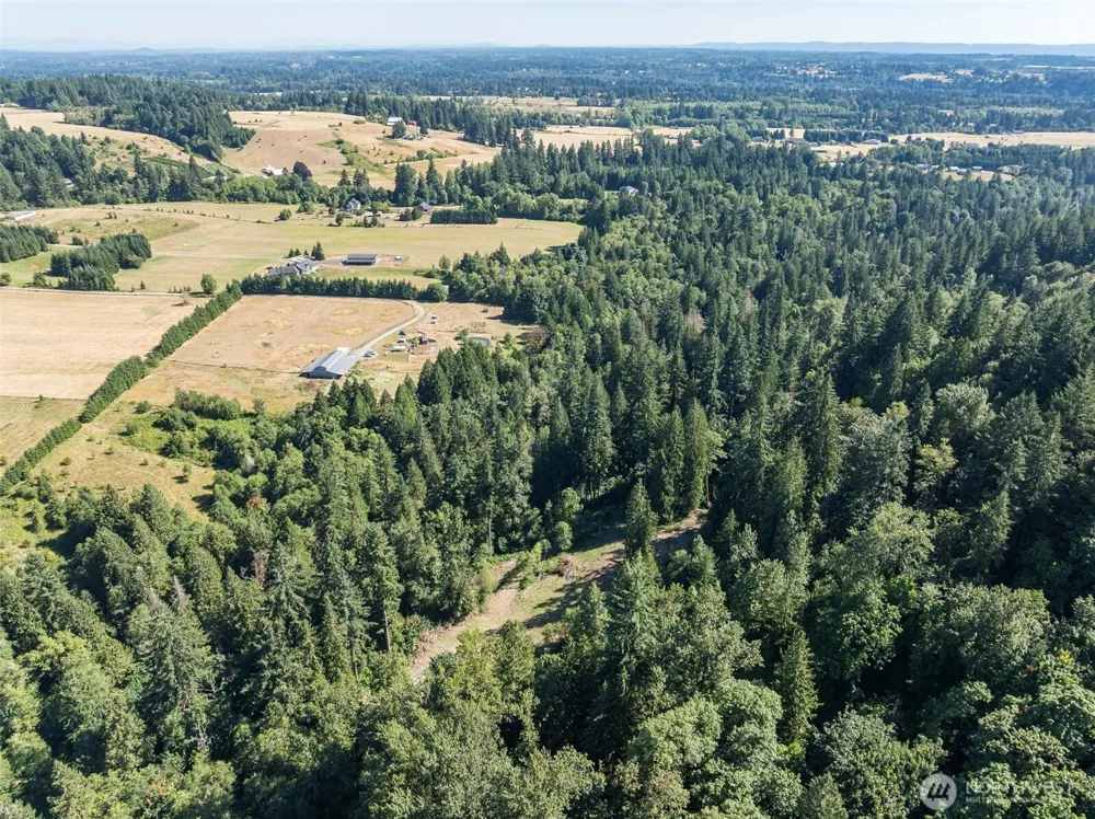 0 NE Johnson Rd (Parcel# 222320000) La Center, WA 98629