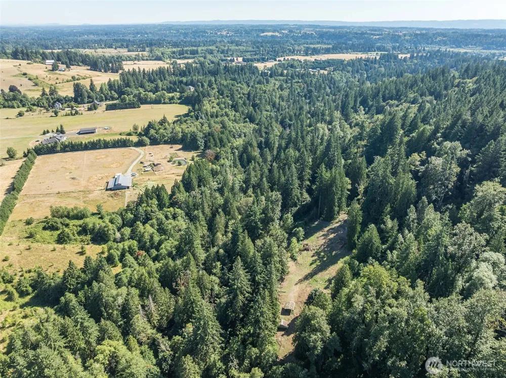 0 NE Johnson Rd (Parcel# 222320000) La Center, WA 98629