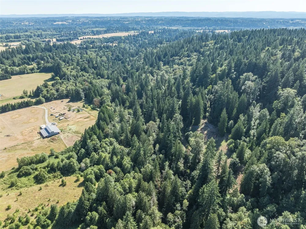 0 NE Johnson Rd (Parcel# 222320000) La Center, WA 98629