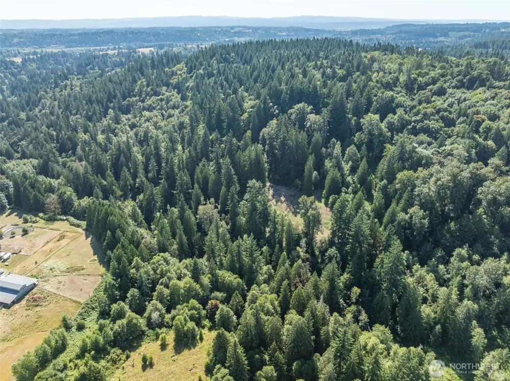 0 NE Johnson Rd (Parcel# 222320000) La Center, WA 98629
