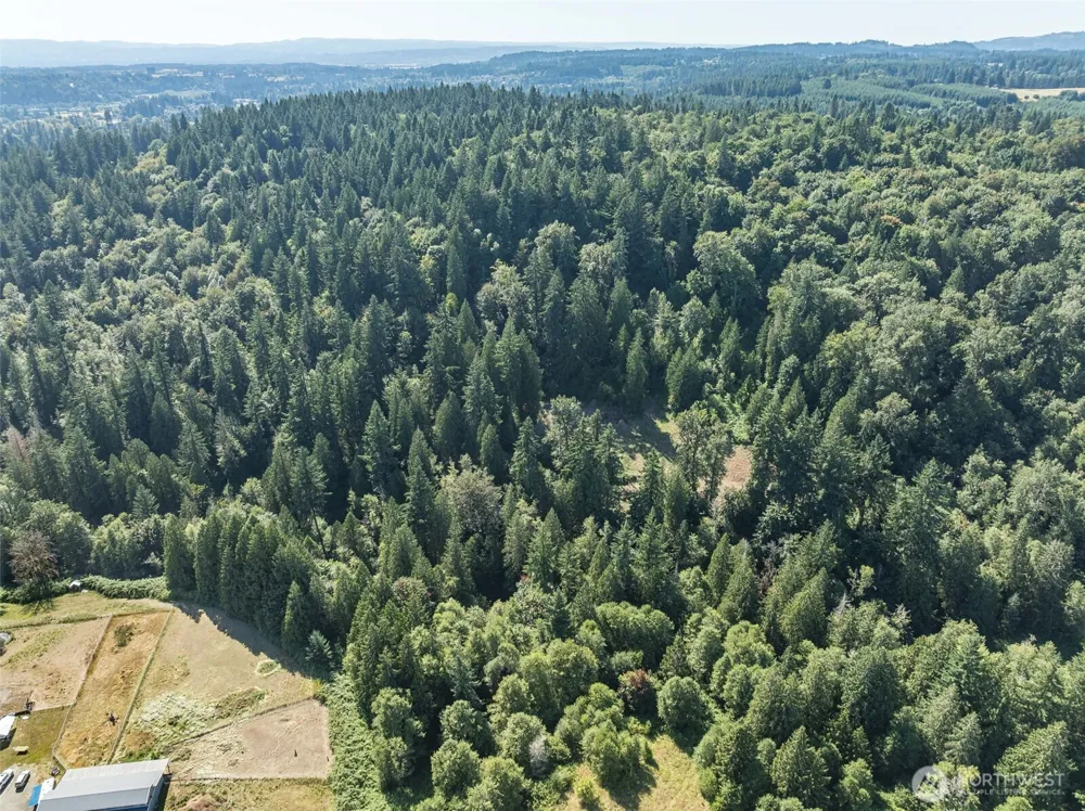 0 NE Johnson Rd (Parcel# 222320000) La Center, WA 98629