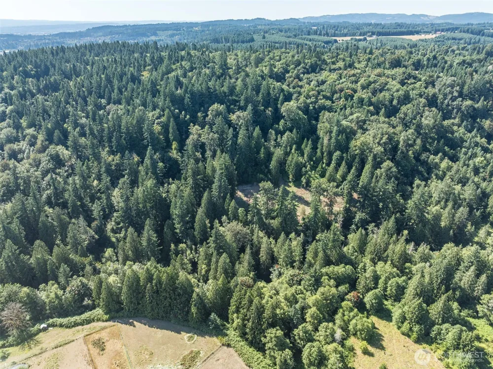 0 NE Johnson Rd (Parcel# 222320000) La Center, WA 98629