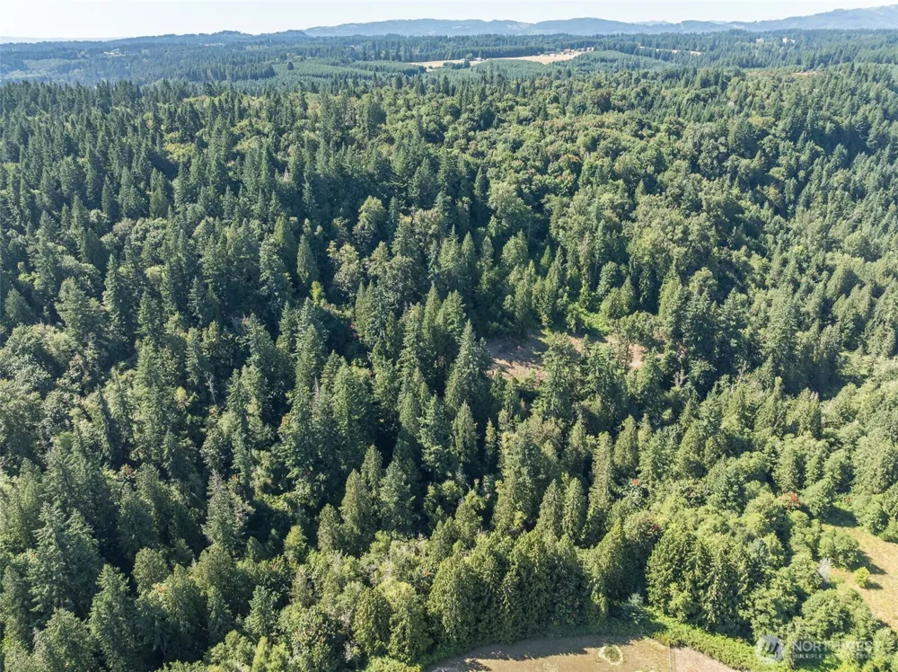 0 NE Johnson Rd (Parcel# 222320000) La Center, WA 98629