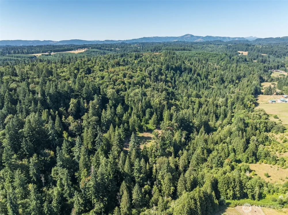 0 NE Johnson Rd (Parcel# 222320000) La Center, WA 98629