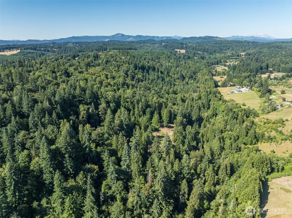 0 NE Johnson Rd (Parcel# 222320000) La Center, WA 98629