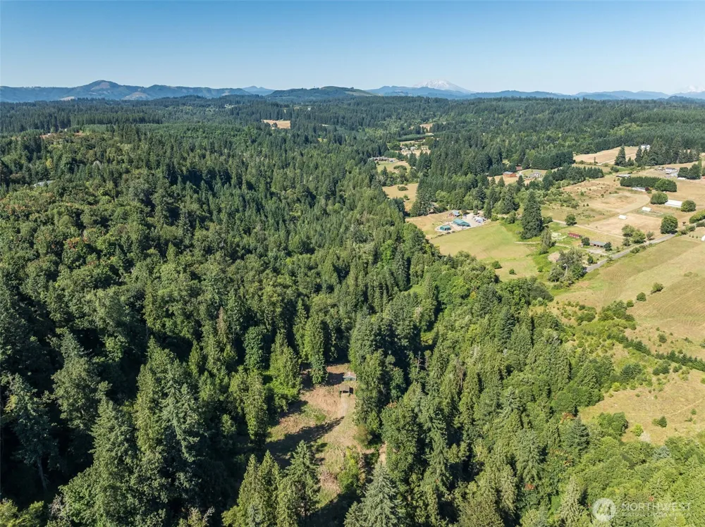 0 NE Johnson Rd (Parcel# 222320000) La Center, WA 98629