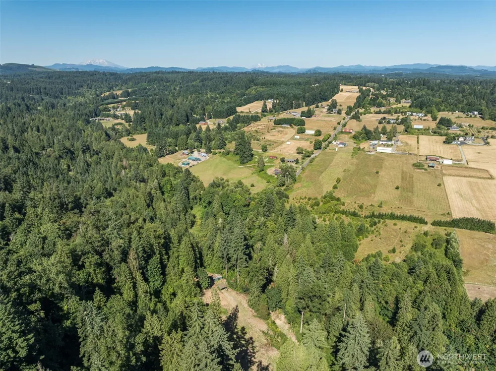 0 NE Johnson Rd (Parcel# 222320000) La Center, WA 98629