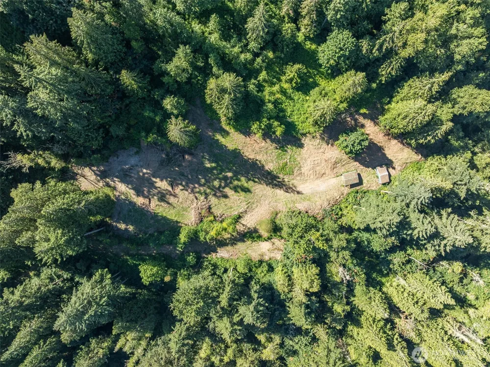 0 NE Johnson Rd (Parcel# 222320000) La Center, WA 98629