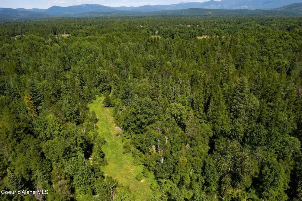 1521 Selkirk Road Sandpoint, ID 83864