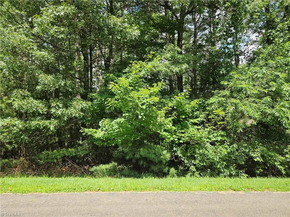 TBD Holly Run Glade Valley, NC 28627