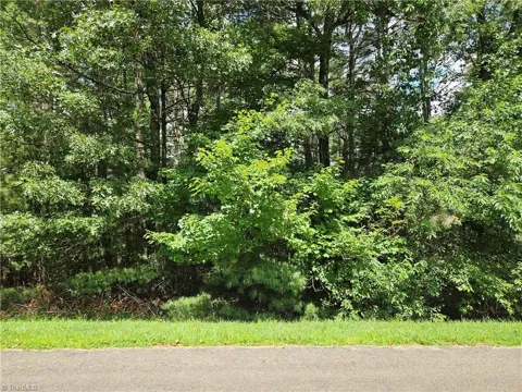 TBD Holly Run