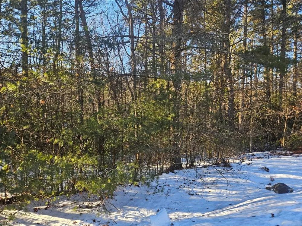 TBD Holly Run Glade Valley, NC 28627