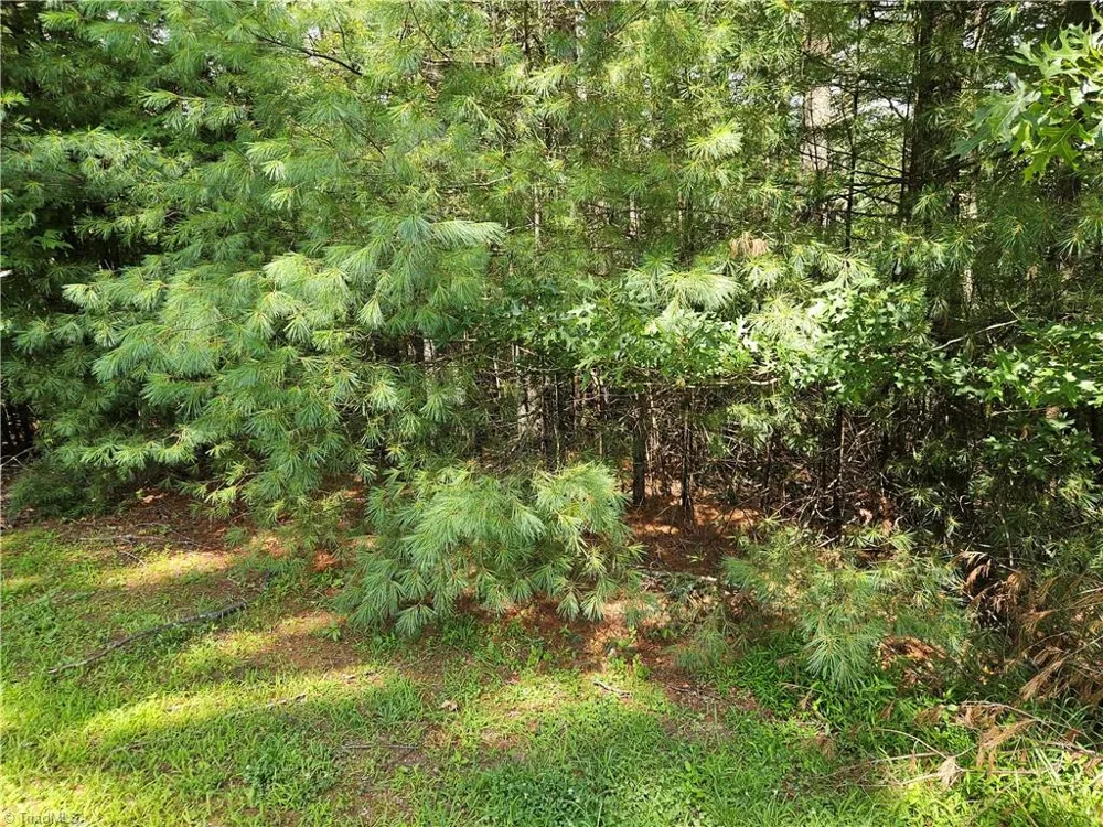 TBD Holly Run Glade Valley, NC 28627
