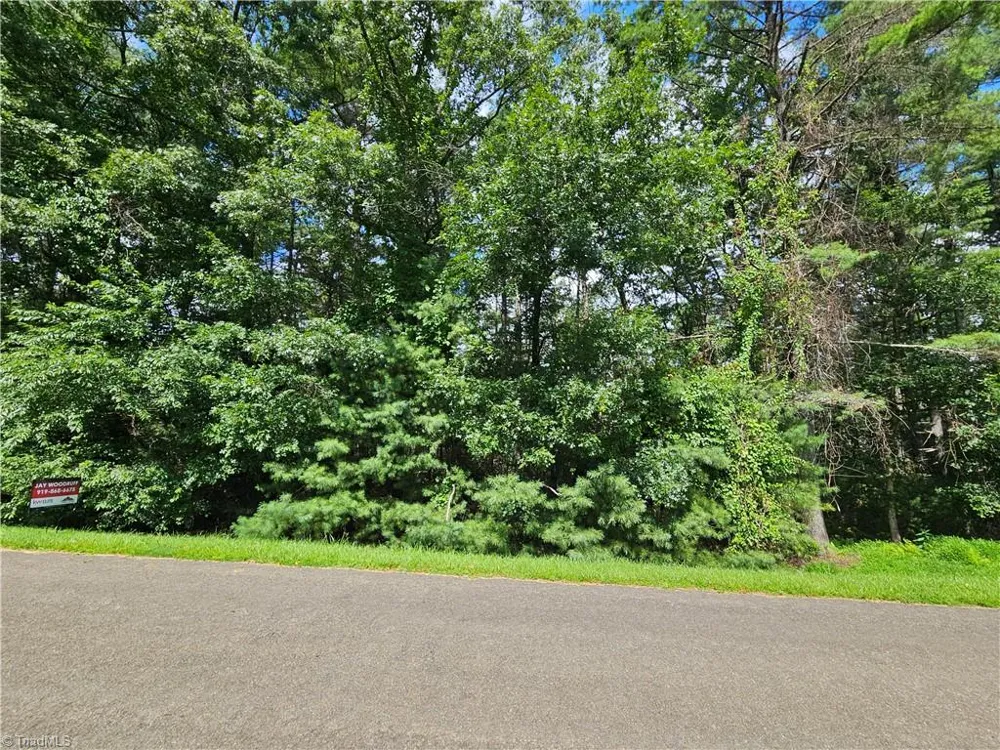 TBD Holly Run Glade Valley, NC 28627