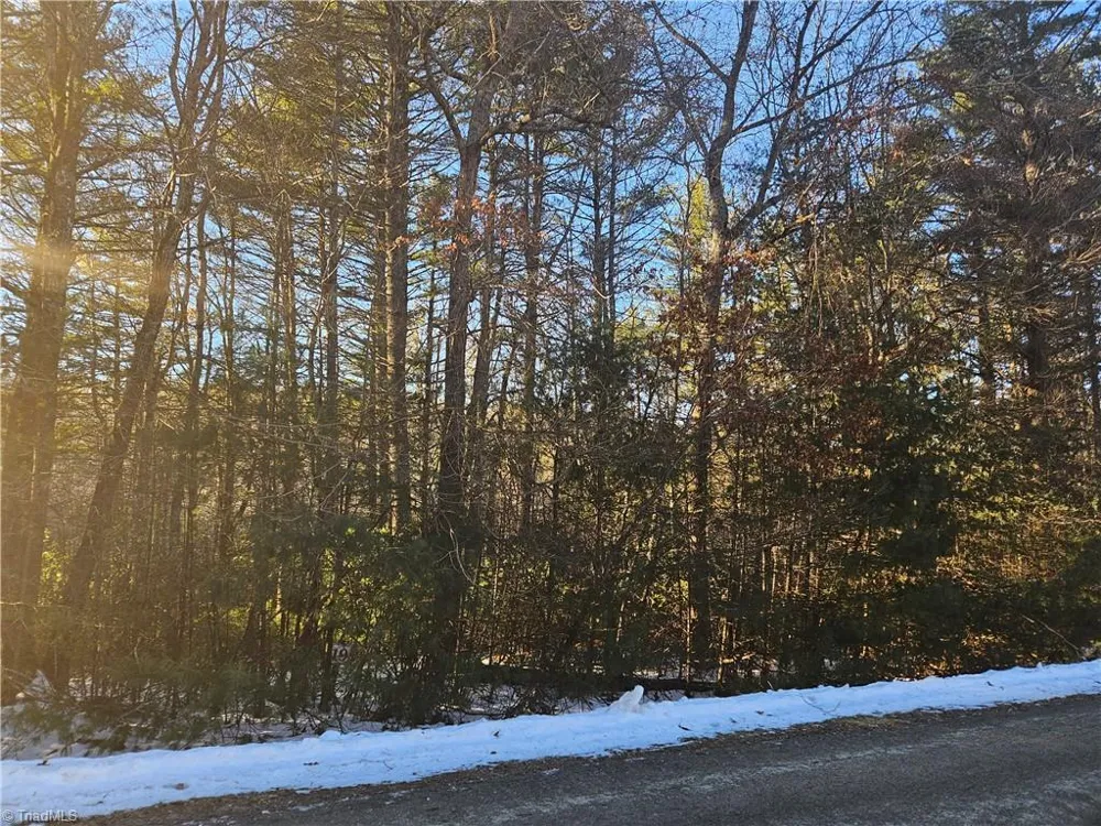 TBD Holly Run Glade Valley, NC 28627