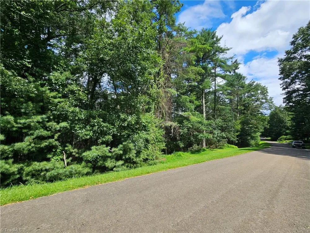 TBD Holly Run Glade Valley, NC 28627
