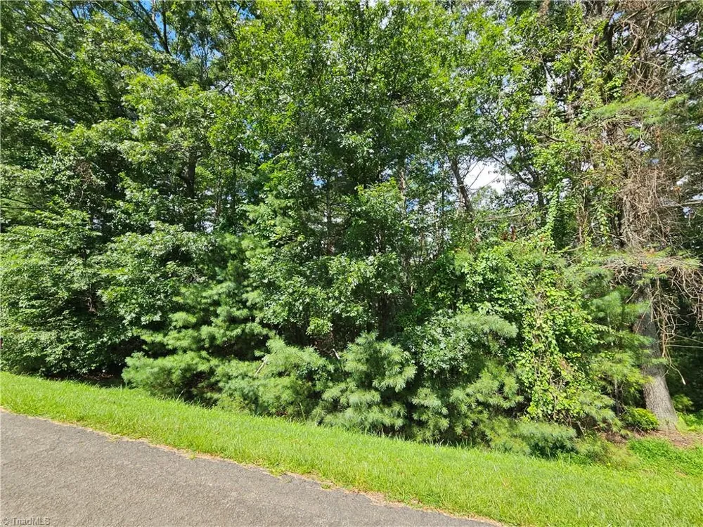 TBD Holly Run Glade Valley, NC 28627