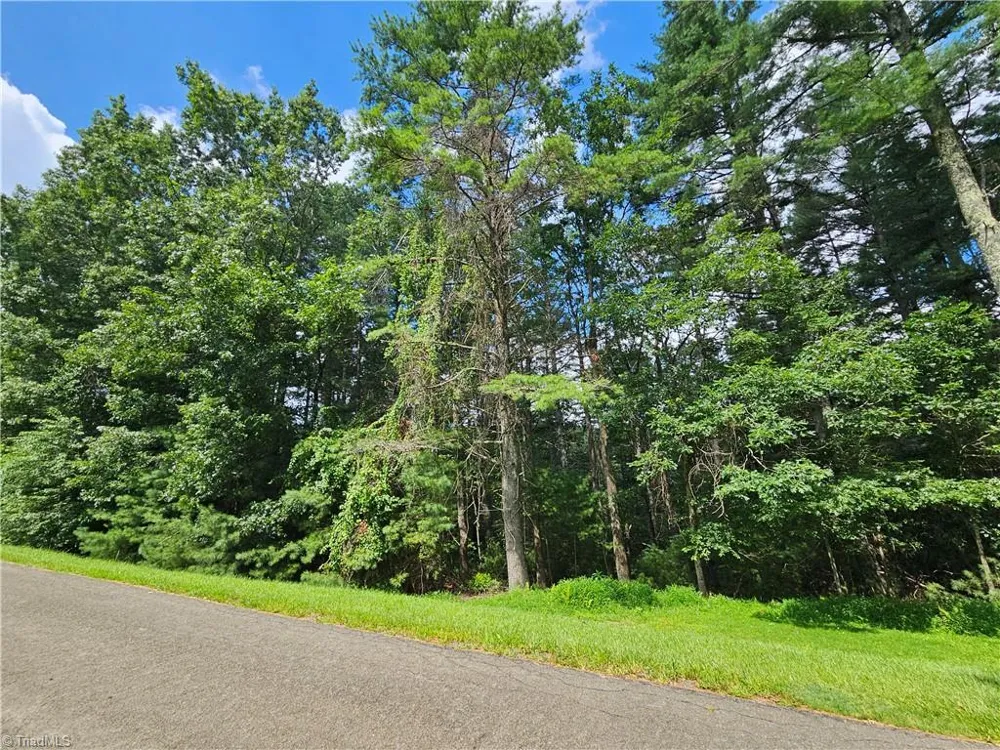 TBD Holly Run Glade Valley, NC 28627