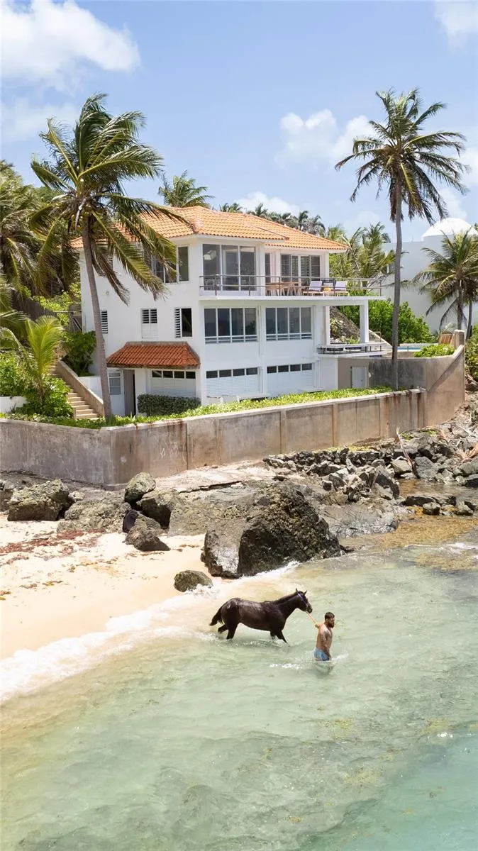 294 BRAVOS DE BOSTON Vieques, PR 00765