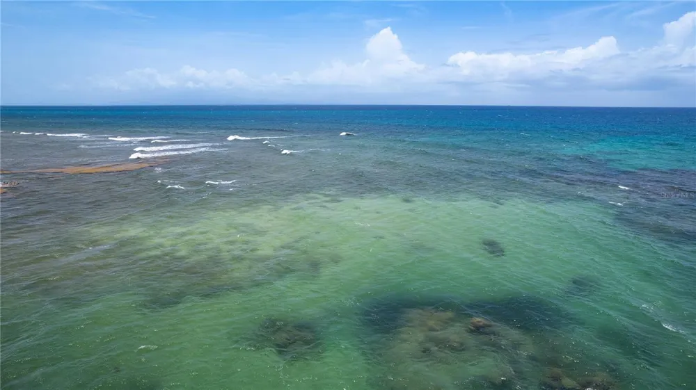 294 BRAVOS DE BOSTON Vieques, PR 00765