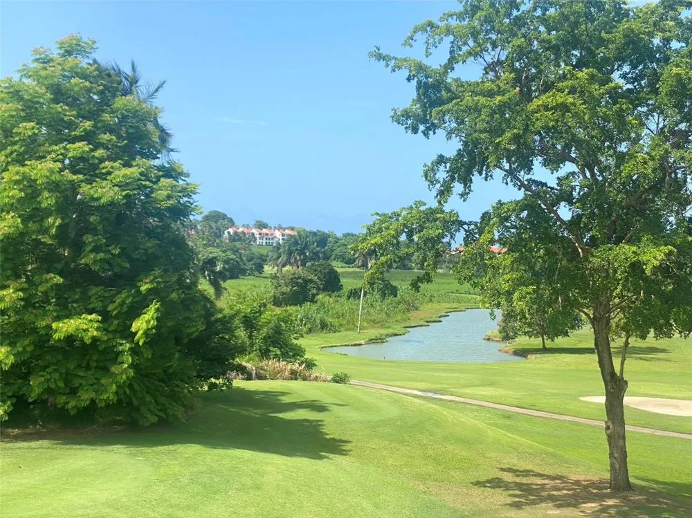 4703 RIO MAR VILLAGE Rio Grande, PR 00745
