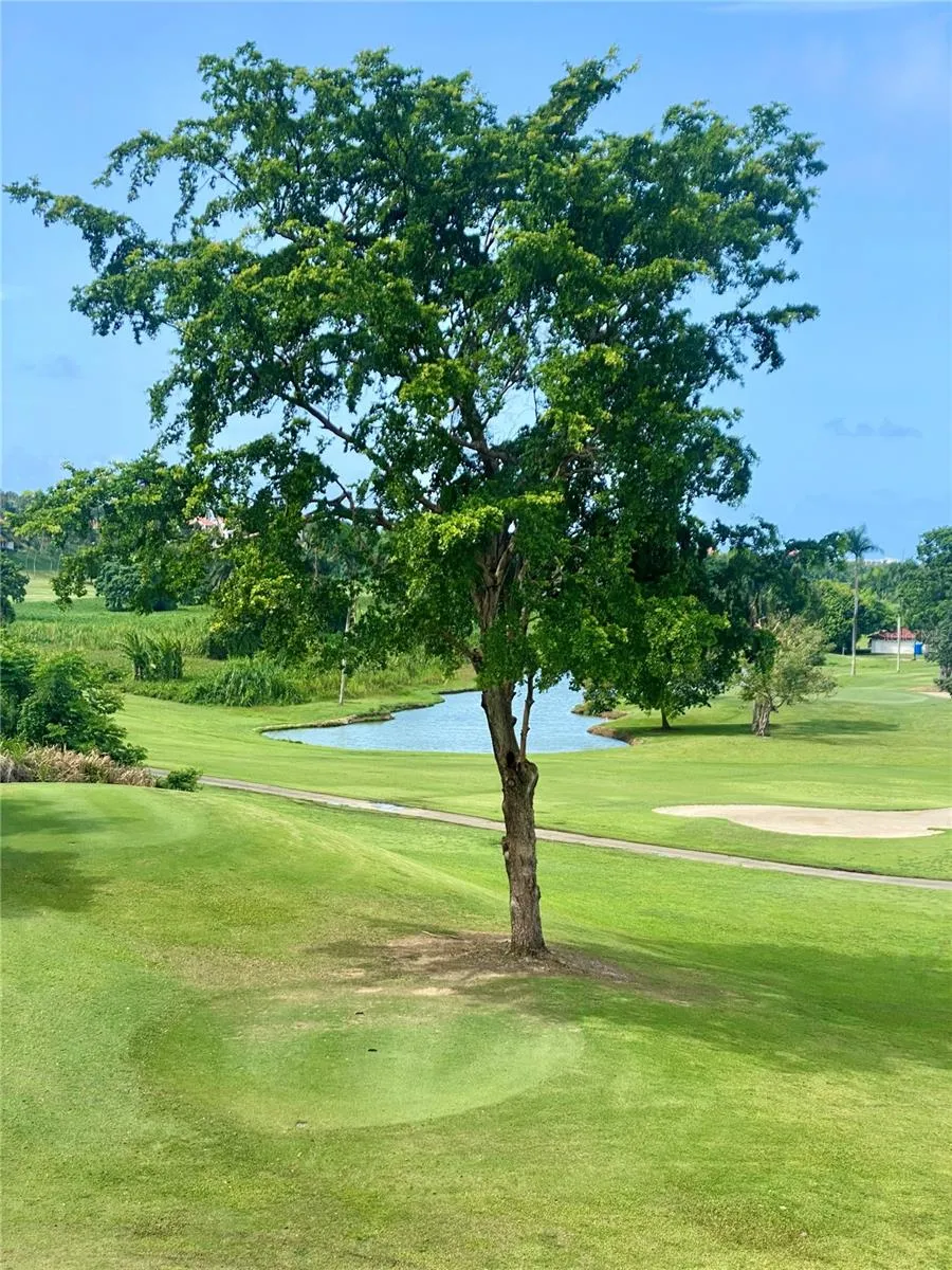4703 RIO MAR VILLAGE Rio Grande, PR 00745