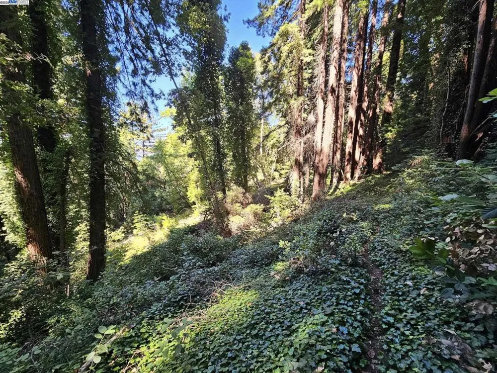 Old La Honda Rd Woodside, CA 94062