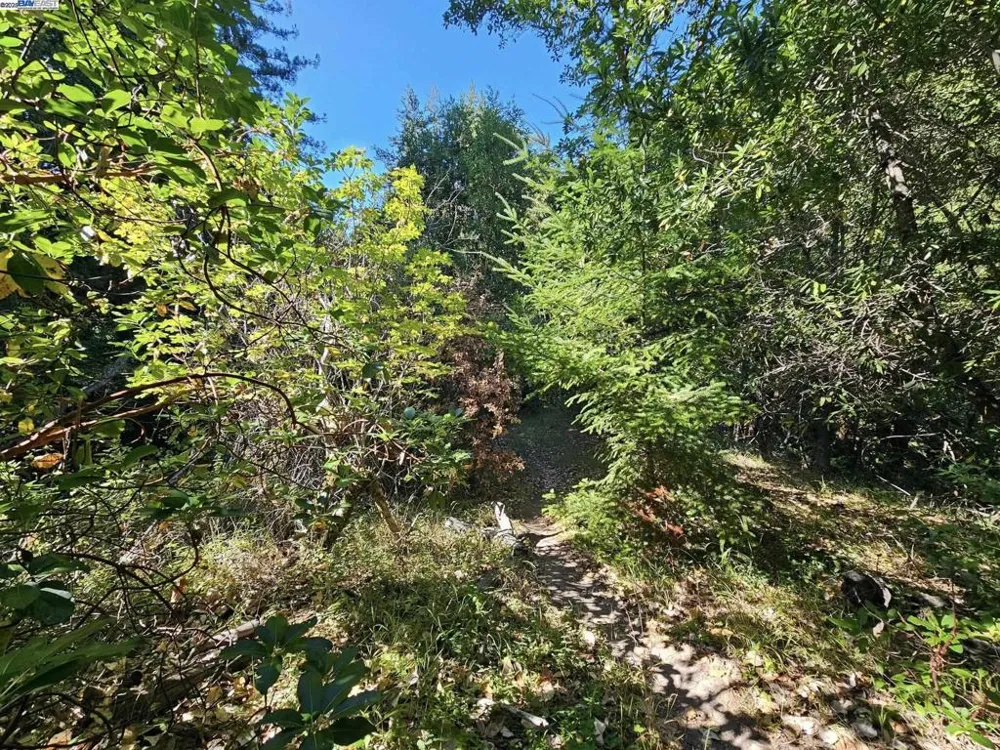 Old La Honda Rd Woodside, CA 94062