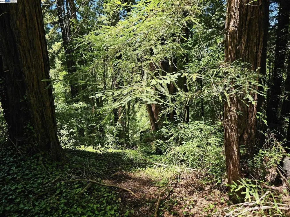 Old La Honda Rd Woodside, CA 94062
