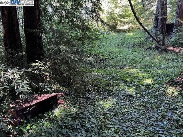 Old La Honda Rd Woodside, CA 94062