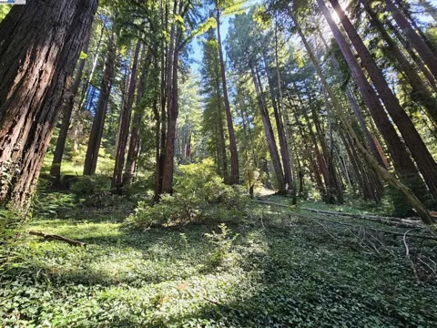 Old La Honda Rd