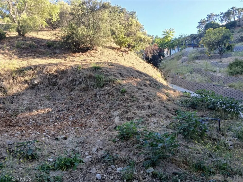 9739 Oak Bend Drive Tujunga, CA 91042