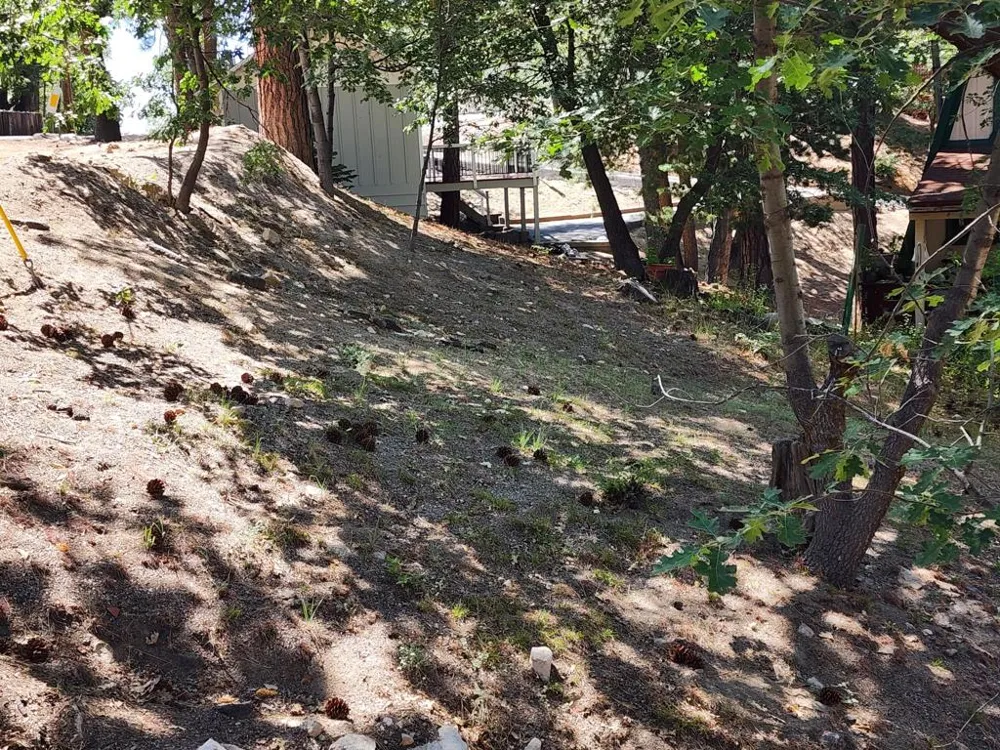2481 Spruce Drive Arrowbear, CA 92382